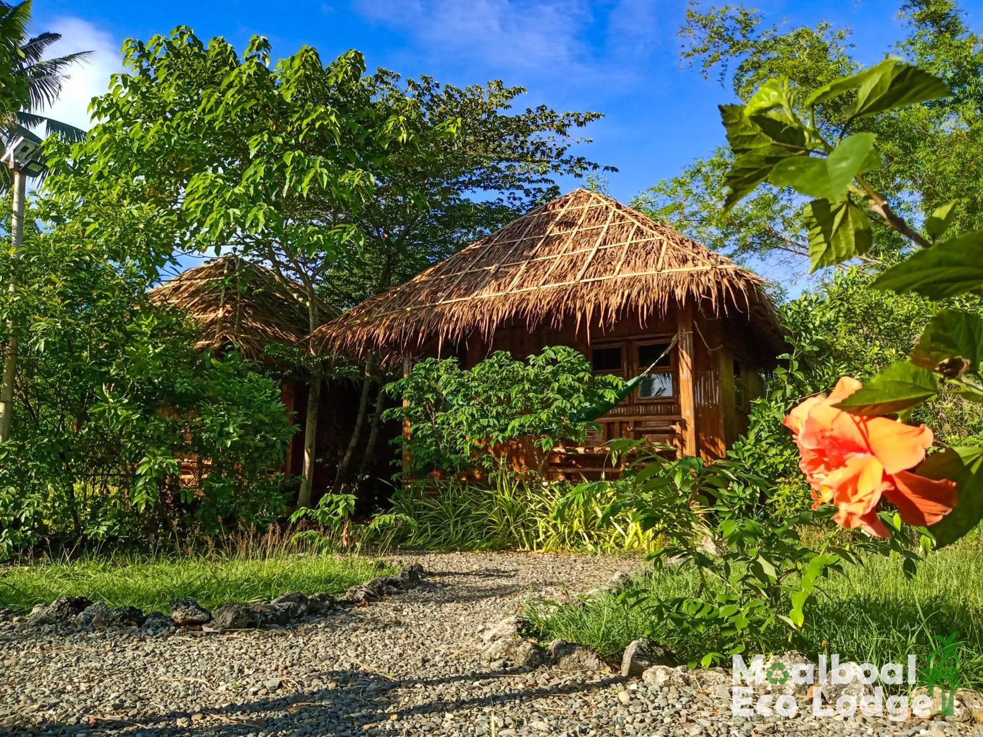 Moalboal Eco Lodge Exterior foto