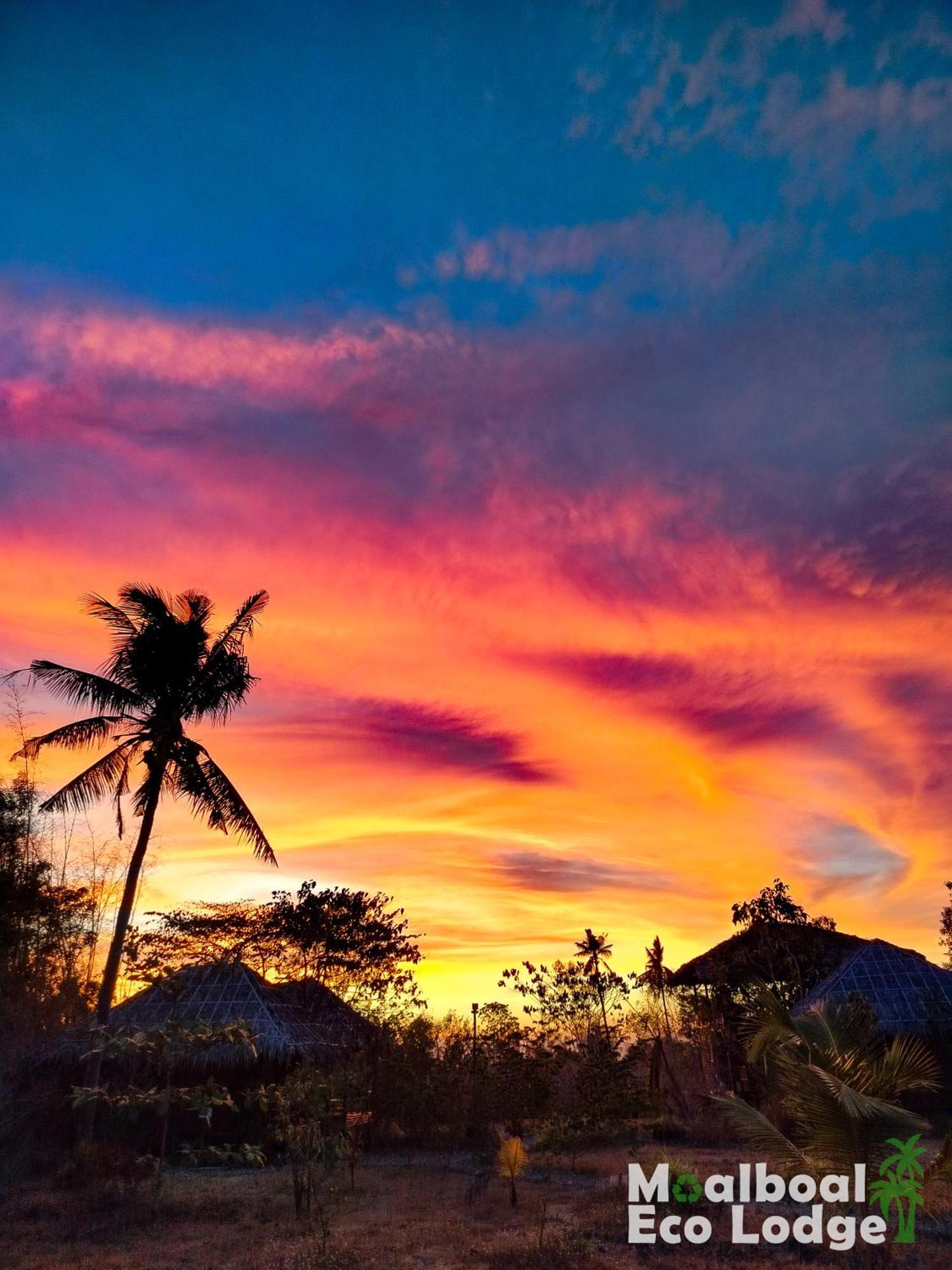 Moalboal Eco Lodge Exterior foto