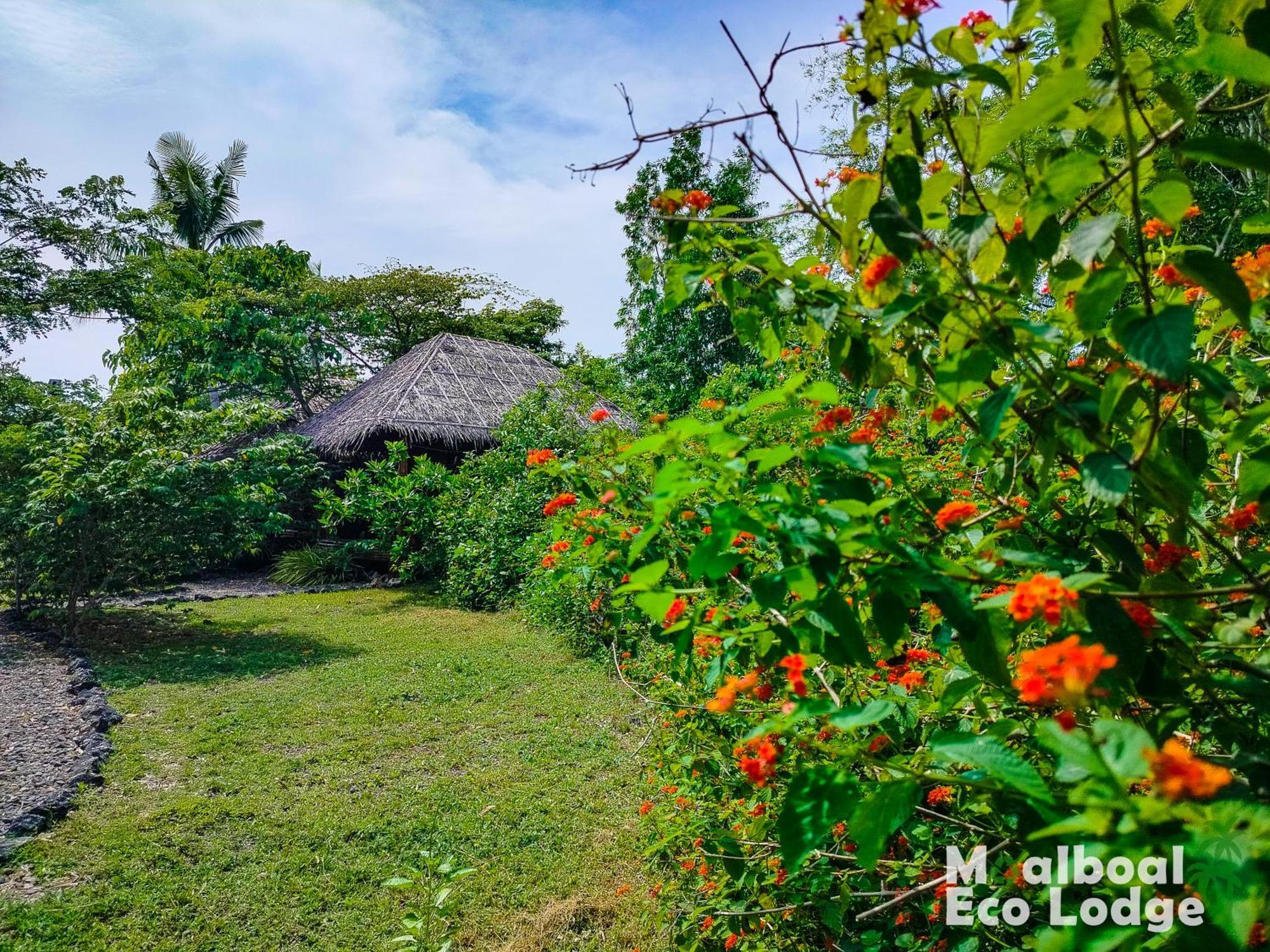 Moalboal Eco Lodge Exterior foto