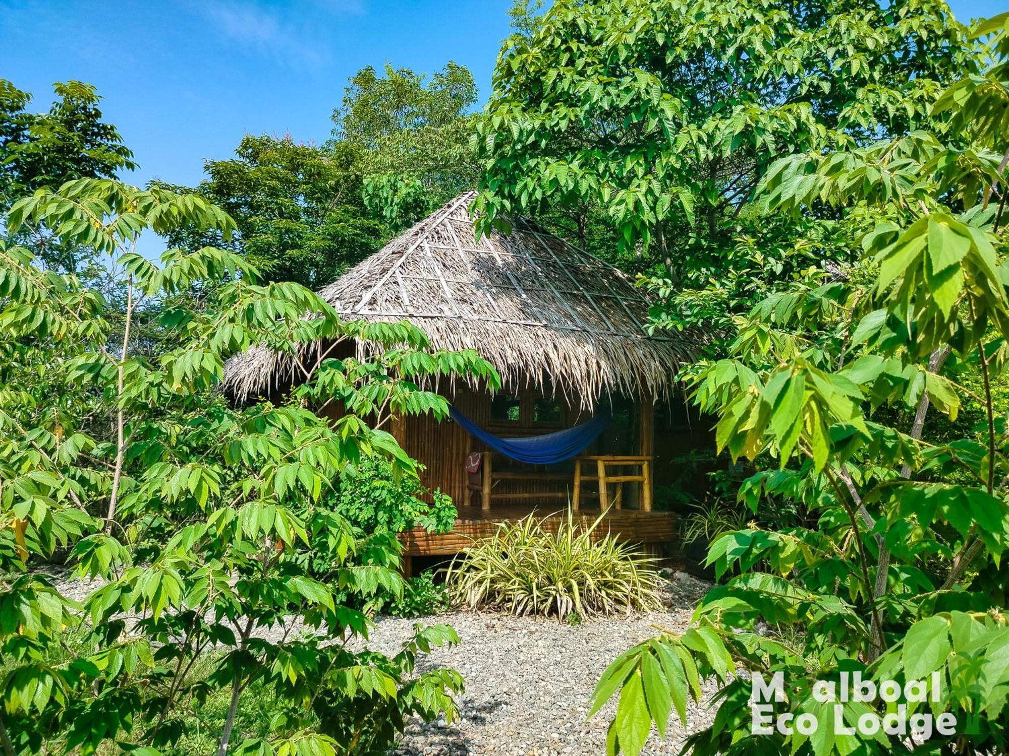 Moalboal Eco Lodge Exterior foto