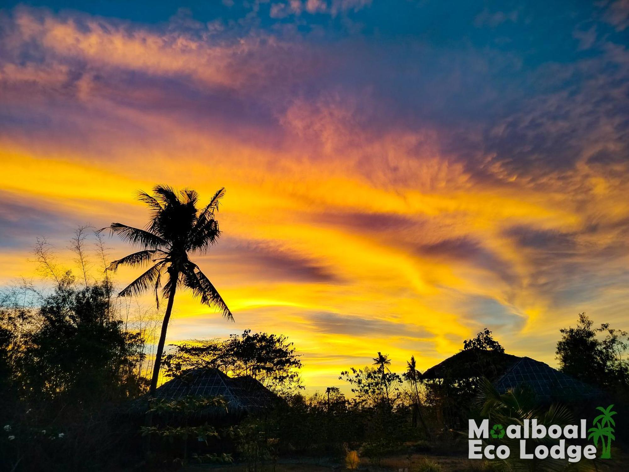 Moalboal Eco Lodge Exterior foto